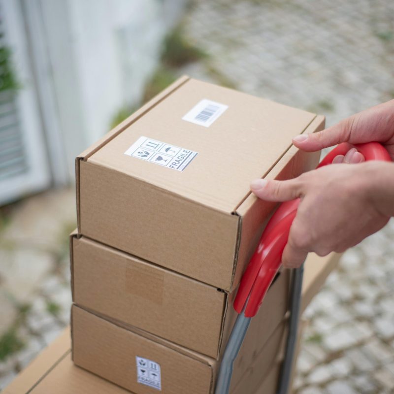 pexels-kampus-7844001 pexels-kampus-7844001